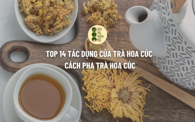 Tác Dụng Của Trà Hoa Cúc