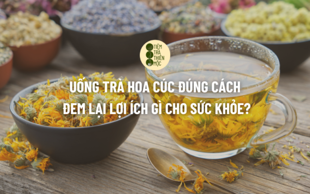 Uống trà hoa cúc đúng cách