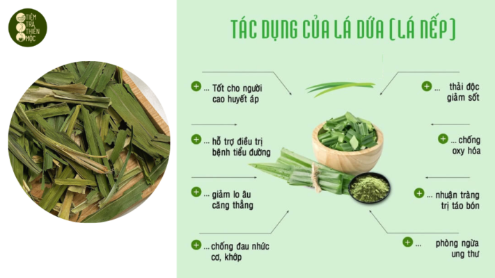 Trà Lá Nếp Thơm Thiên Mộc