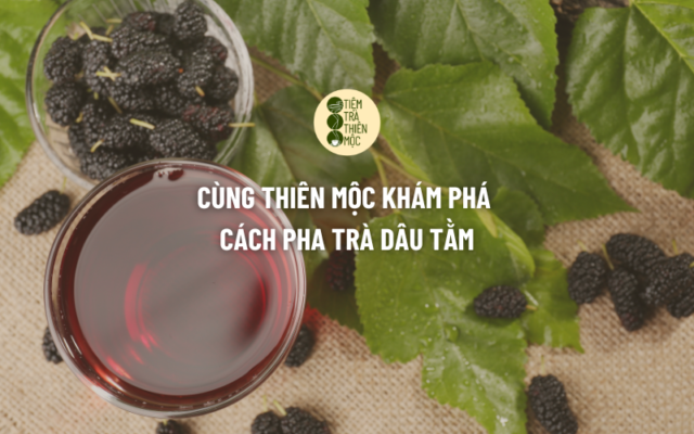 Cùng Thiên Mộc Khám Phá cách Pha Trà Dâu Tằm