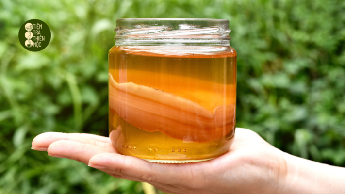 Kombucha – Trà trái cây lên men