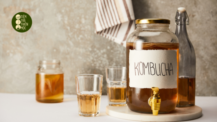 Trà Kombucha được tạo ra bởi sự phối hợp tuyệt vời giữa trà, đường và Scoby