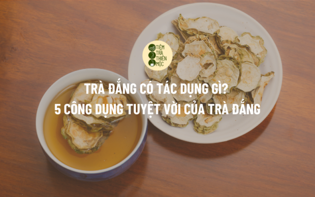 Trà Đắng Có Tác Dụng Gì? 5 Công Dụng Tuyệt Vời Của Trà Đắng