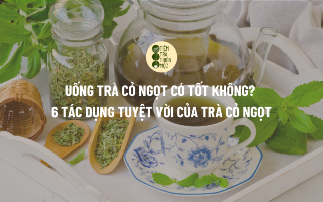 Uống Trà Cỏ Ngọt Có Tốt Không 6 Tác Dụng Tuyệt Vời Của Trà Cỏ Ngọt