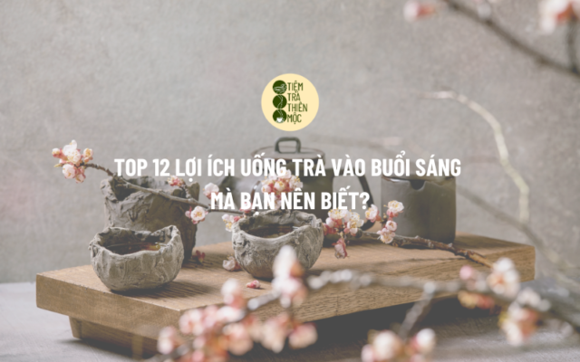 Lợi ích uống trà vào buổi sáng