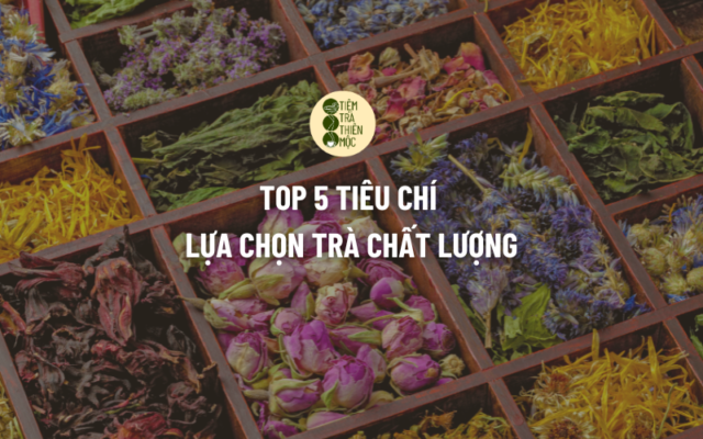 tiêu chí chọn trà