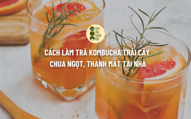 trà kombucha