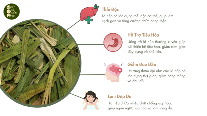 Lợi Ích Sức Khỏe Trà Lá Nếp Thơm