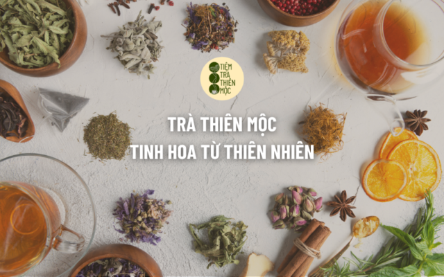 Trà Thiên Mộc Tinh: Hoa Từ Thiên Nhiên