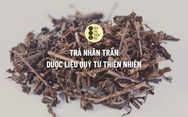 Trà Nhân Trần: Dược Liệu Quý Từ Thiên Nhiên