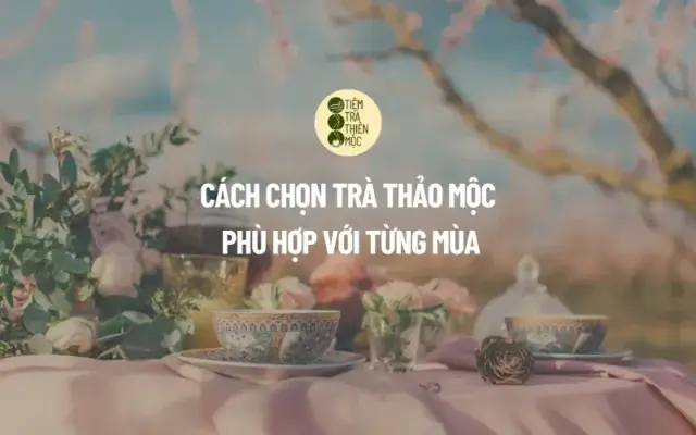 Cách Chọn Trà Thảo Mộc Phù Hợp Với Từng Mùa