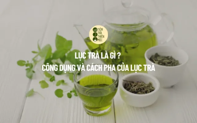 Lục Trà Là Gì Công Dụng Và Cách Pha Của Lục Trà