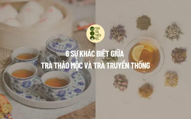 6 Sự Khác Biệt Giữa Trà Thảo Mộc Và Trà Truyền Thống