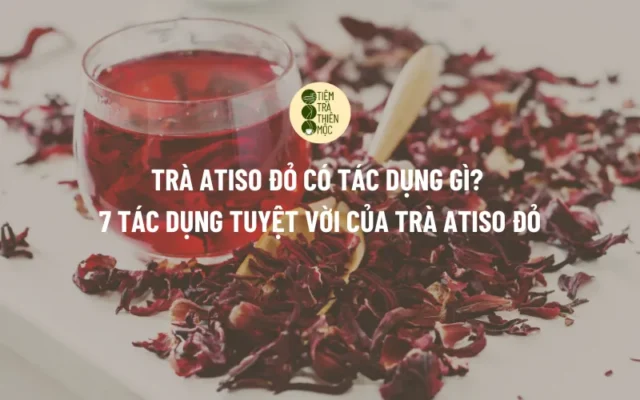 Trà Atiso Đỏ Có Tác Dụng Gì? 7 Tác Dụng Tuyệt Vời Của Trà Atiso Đỏ