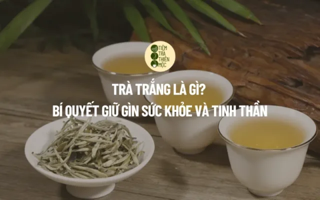 Trà Trắng Là Gì Bí Quyết Giữ Gìn Sức Khỏe và Tinh Thần